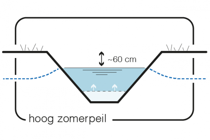 Maatregel 2 Peilverhoging - hoog zomerpeil